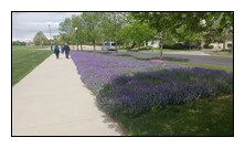 Picture Name